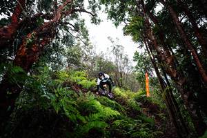 BIB: 
                            <button type="button" onclick="openModal(26203866)" class="btn btn-primary btn-sm float-right btn-popup" data-toggle="modal" data-target=".modal-high-quality">
                        <i class="fas fa-shopping-cart"></i> Add to Cart
                    </button>
                                            <button type="button" onclick="isThisMe(26203866, true)" class="btn btn-success btn-sm float-right btn-popup btn-isme hidden" data-toggle="tooltip" data-placement="bottom" title="นี่คือรูปของคุณใช่ไหม คลิกที่นี่เพื่อเอาเข้าอัลบั้ม">
                        <i class="fas fa-plus"></i> Add to album
                    </button>
                    <button type="button" onclick="isThisMe(26203866, false)" class="btn btn-warning btn-sm float-right btn-popup btn-isnotme hidden">
                        <i class="fas fa-ban"></i> Remove from album
                    </button>